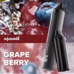 Ks Quik Pro 15000 Puff Grape Berry starter Kit